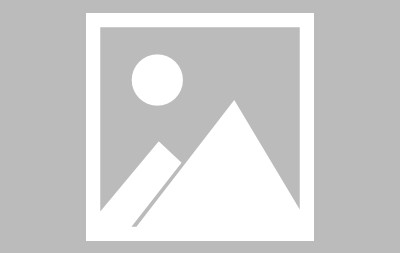 开云官方官网 -关于字母哥迎来二十赛季高光表现，皇家马德里球迷沸腾！的信息